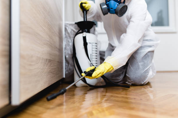 Pest Control for Restaurants in Zephyrhills North, FL