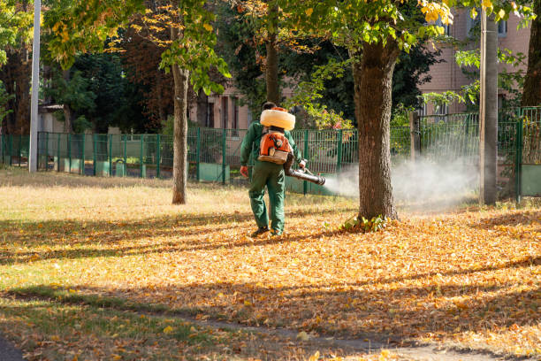 Best Rat Extermination Near Me  in Zephyrhills North, FL
